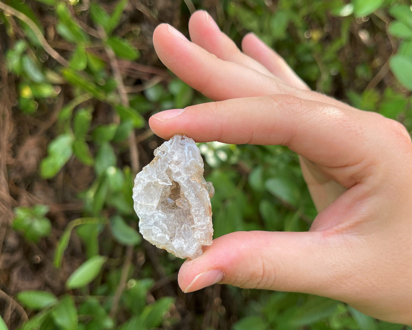 Oco Agate Geodes