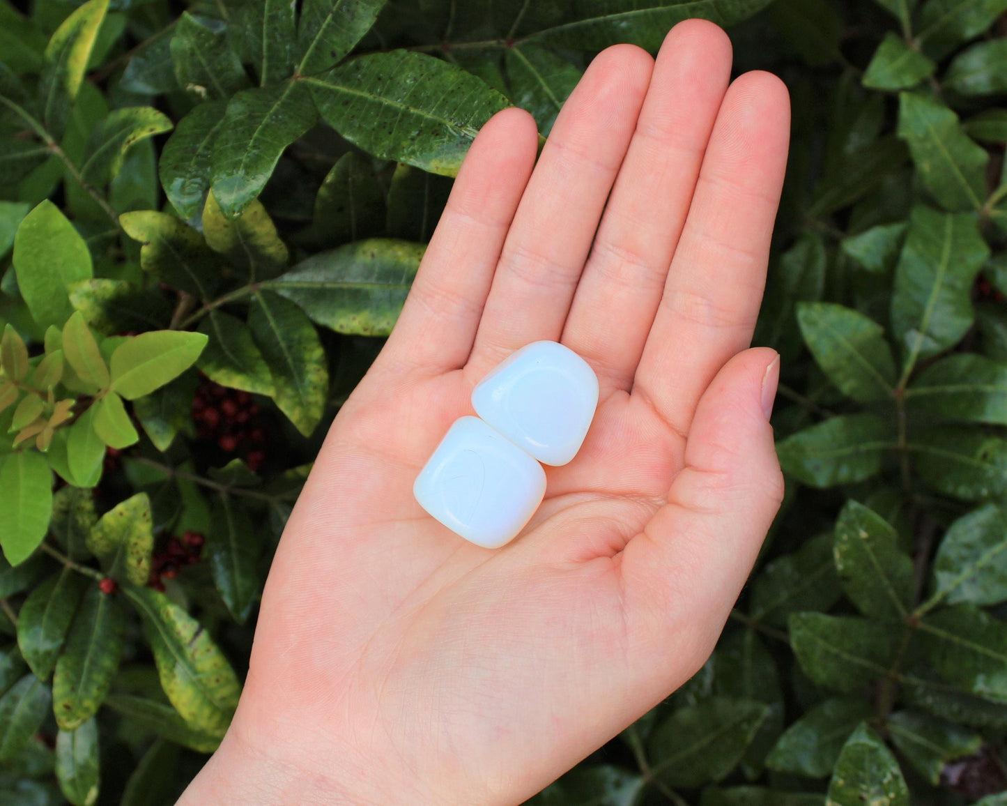 Opalite Tumbled Stones