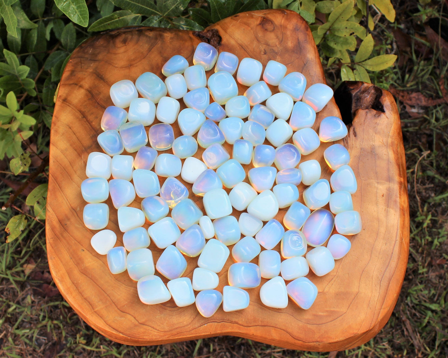 Opalite Tumbled Stones