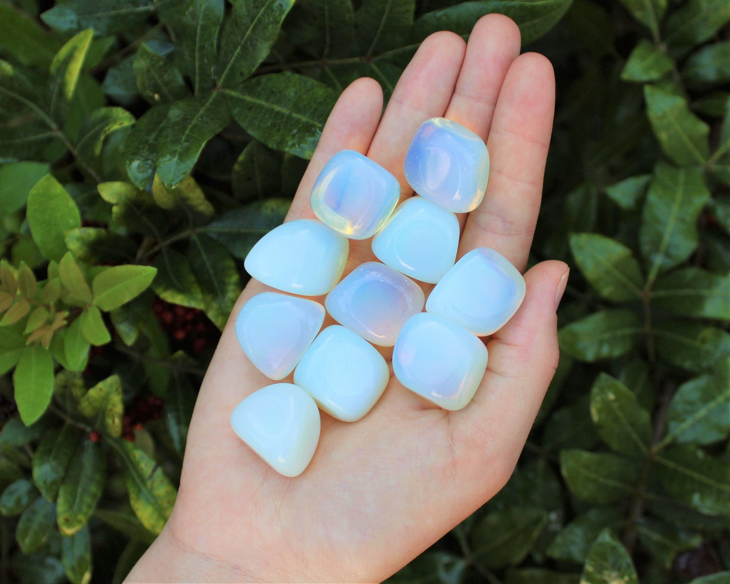 Opalite Tumbled Stones