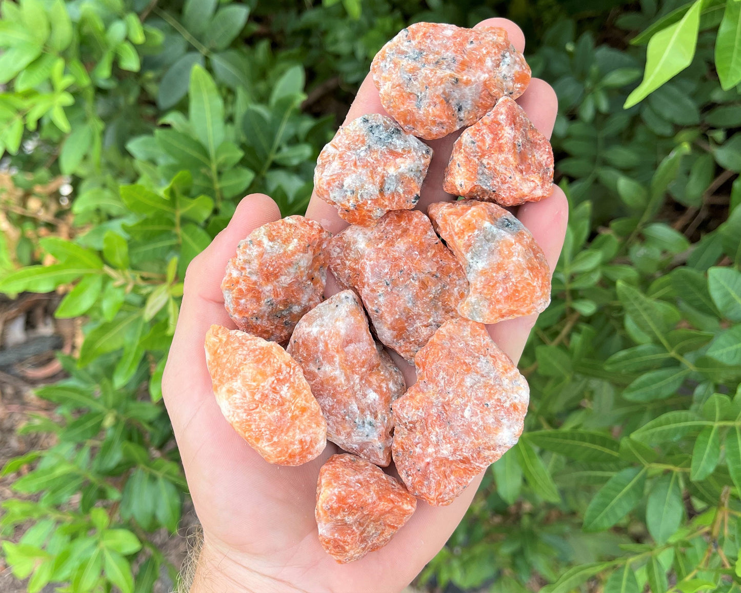 Orchid Calcite Rough Crystals