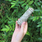 Pack Of Three Sage Smudge Sticks