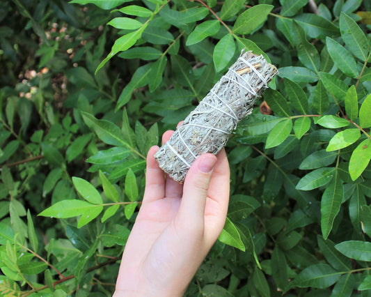 Pack Of Three Sage Smudge Sticks