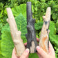 Petrified Wood Branch Carving Specimens