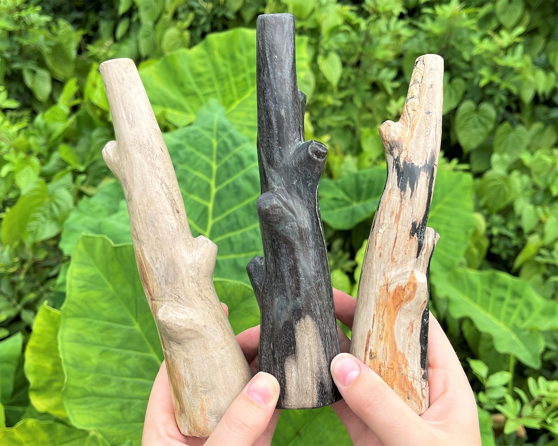 Petrified Wood Branch Carving Specimens