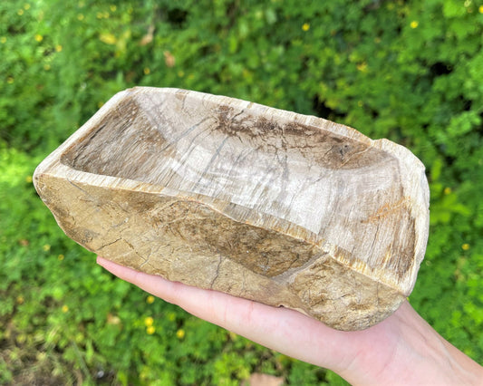 Petrified Wood Decorative Crystal Bowl