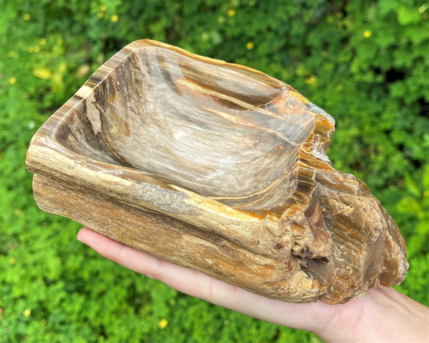 Petrified Wood Elegance Bowl