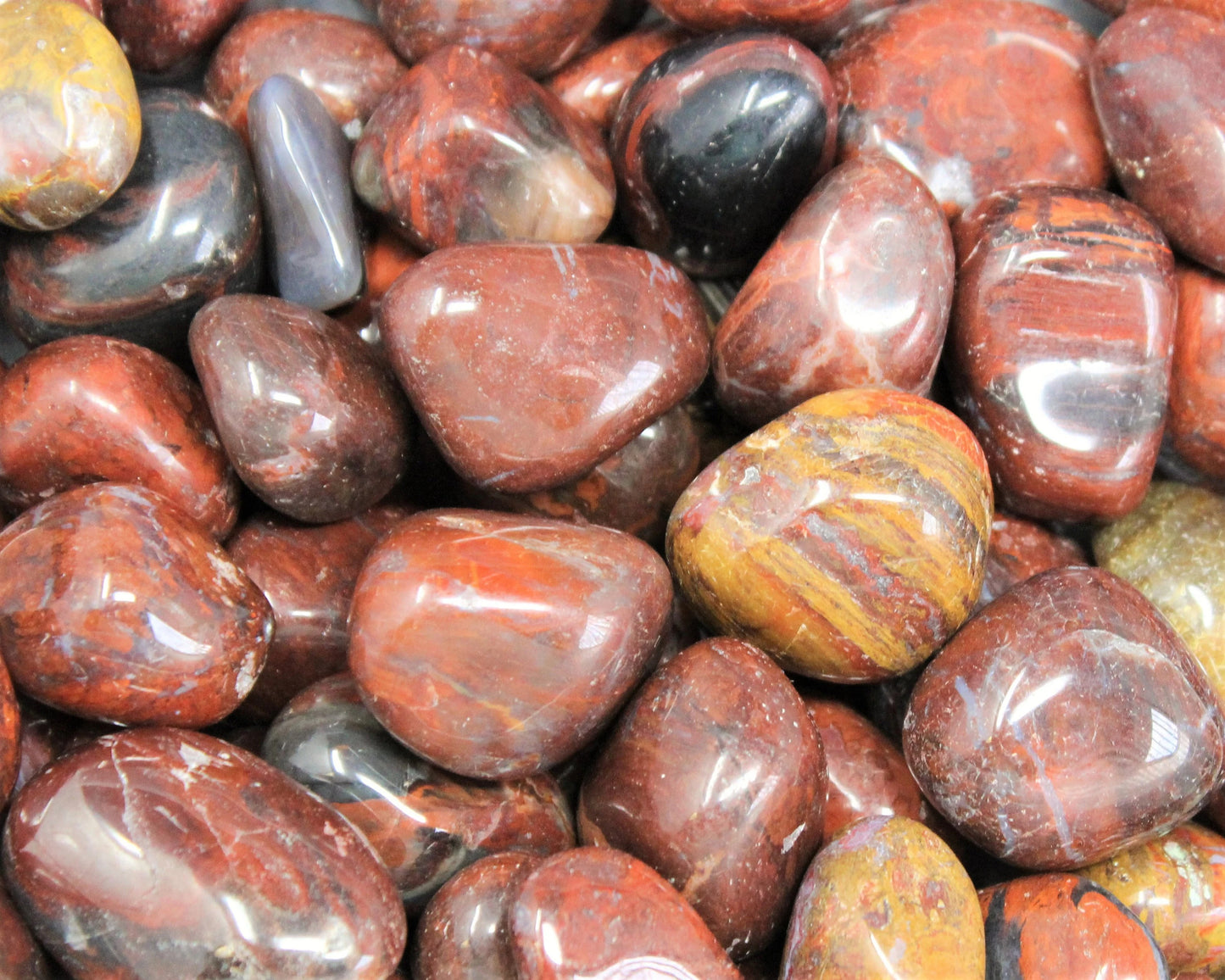 Petrified Wood Premium Grade Tumbled Stones