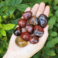 Petrified Wood Premium Grade Tumbled Stones