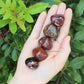 Petrified Wood Premium Grade Tumbled Stones