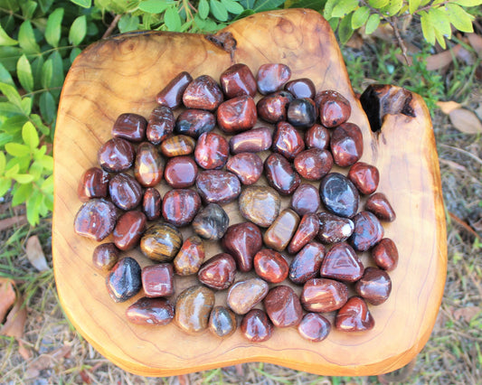 Petrified Wood Premium Grade Tumbled Stones