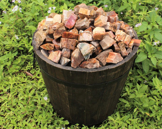 Petrified Wood Rough Natural Stones