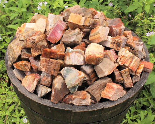 Petrified Wood Rough Natural Stones