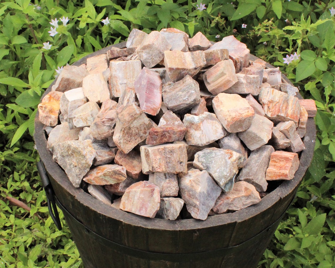 Petrified Wood Rough Natural Stones