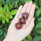 Petrified Wood Tumbled Stones