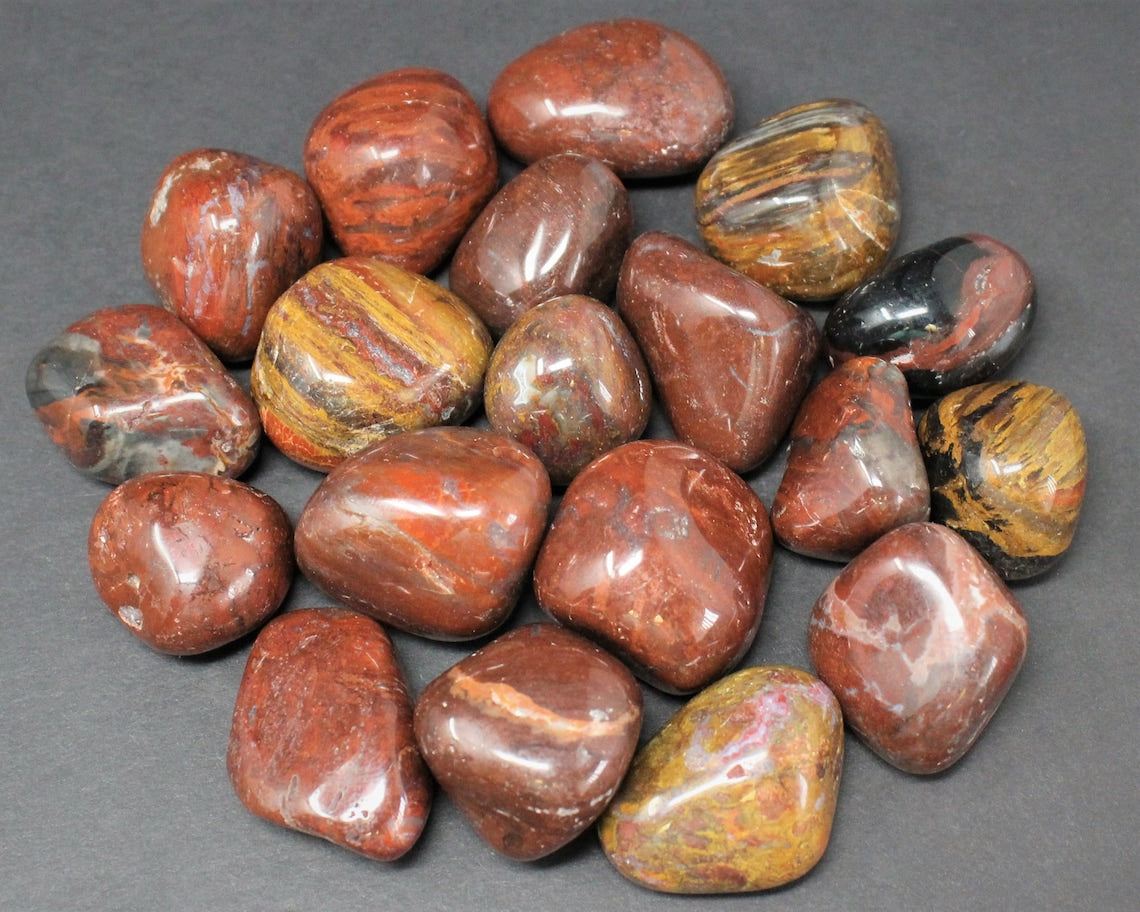 Petrified Wood Tumbled Stones