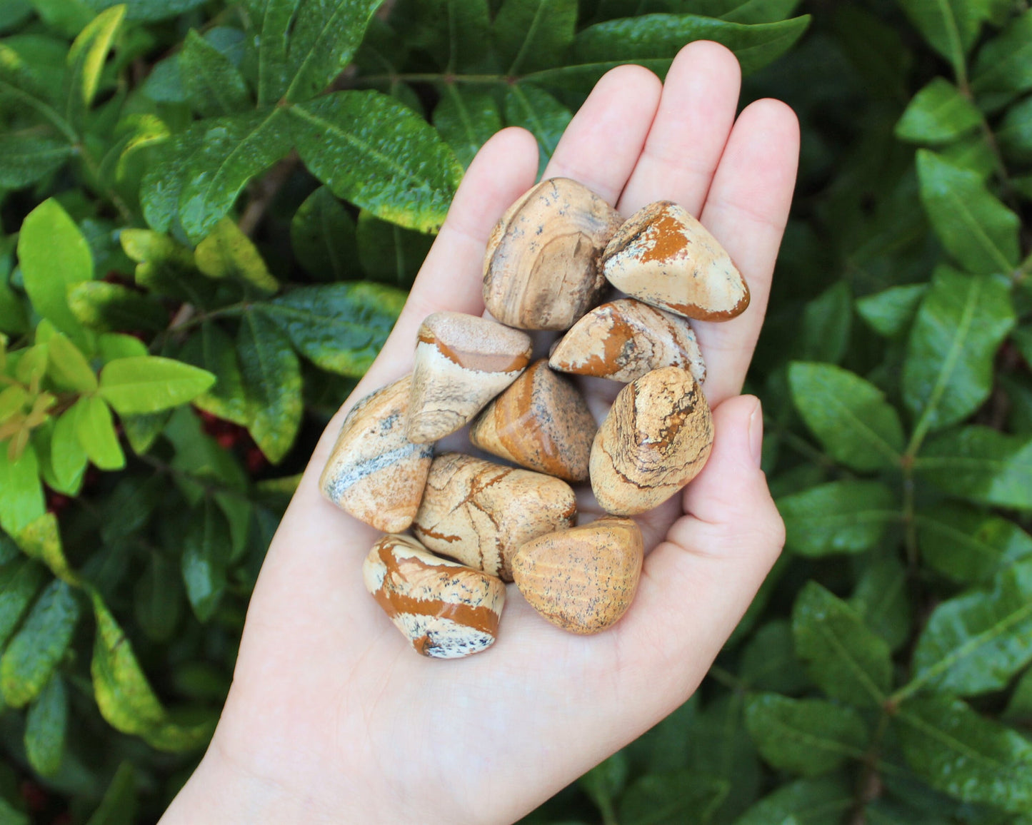 Jasper Essence Tumbled Stones