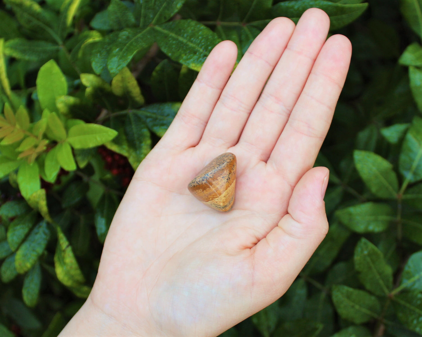 Jasper Essence Tumbled Stones