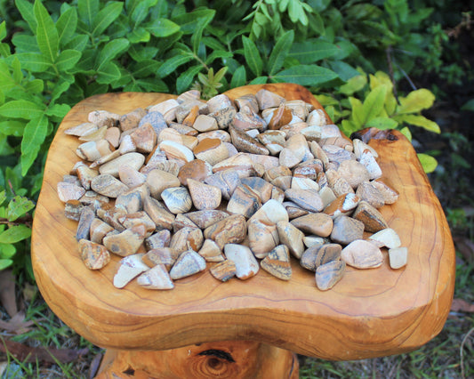 Picture Jasper Tumbled Stones