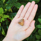 Picture Jasper Tumbled Stones