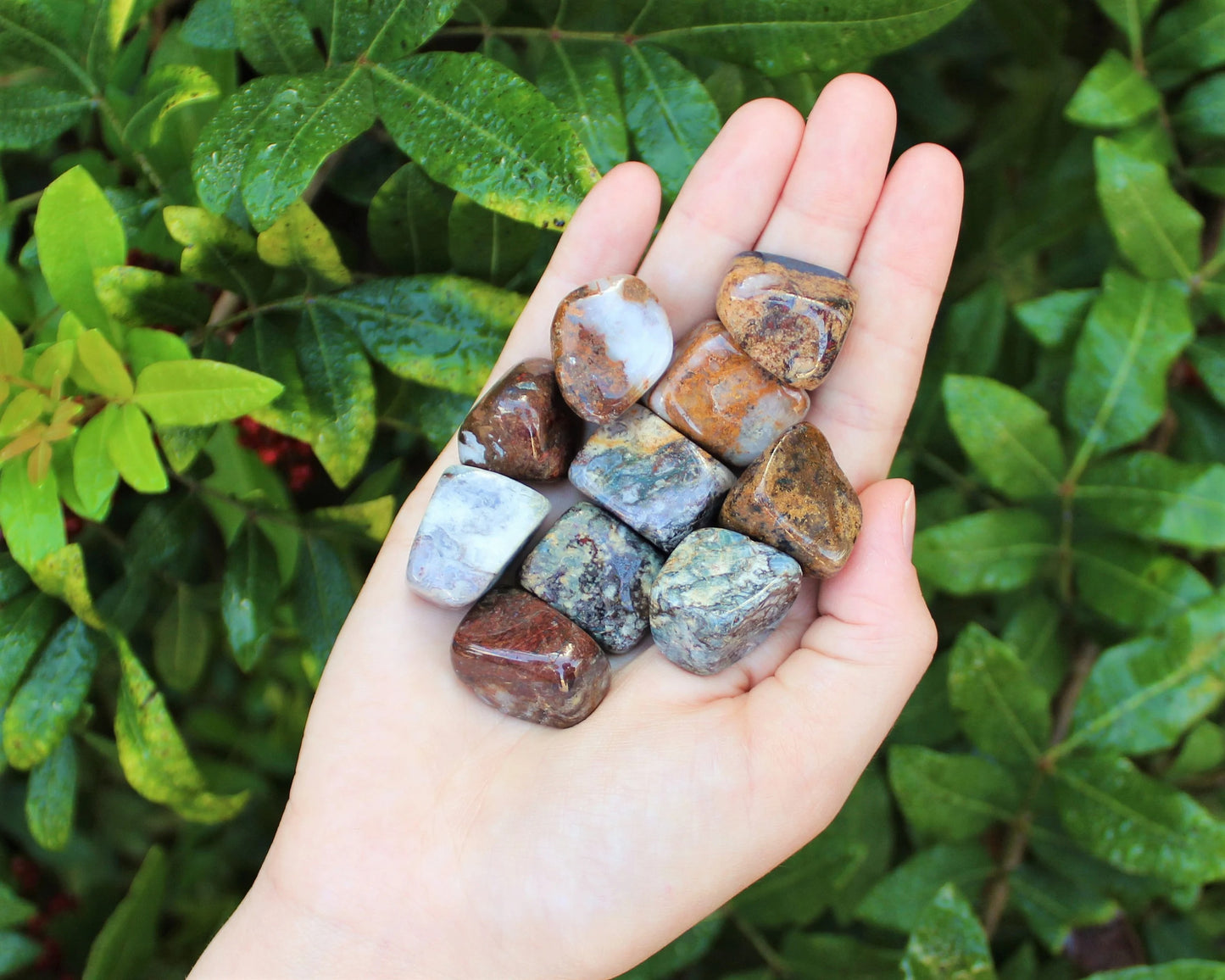 Pietersite Tumbled Stones