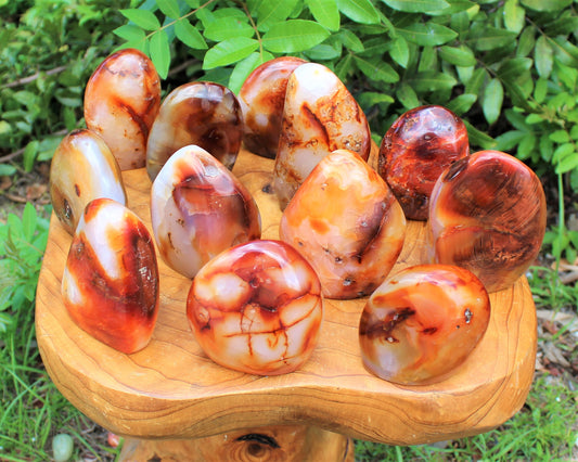 Polished Carnelian Freeform Stones