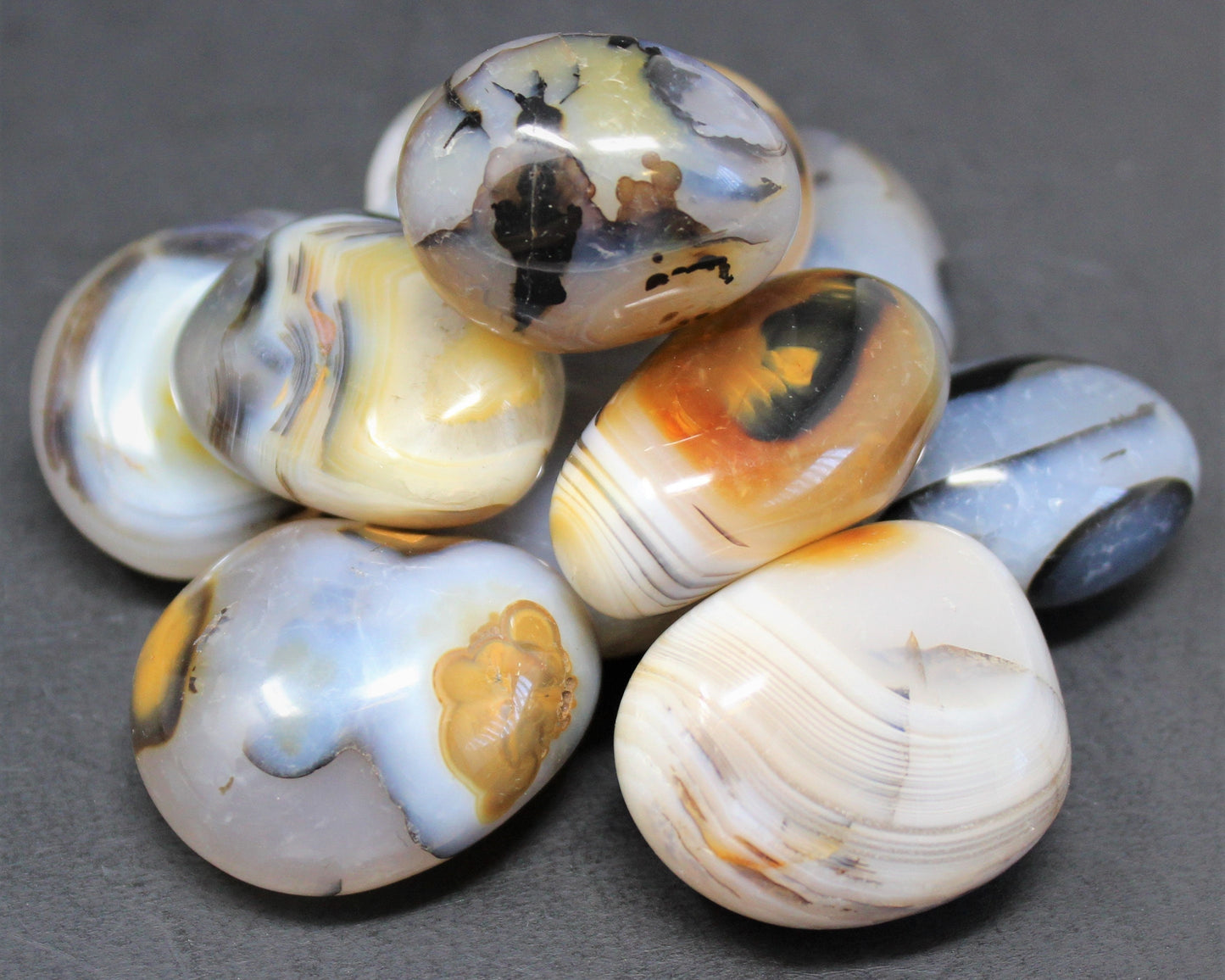 Polished Denritic Agate Stone