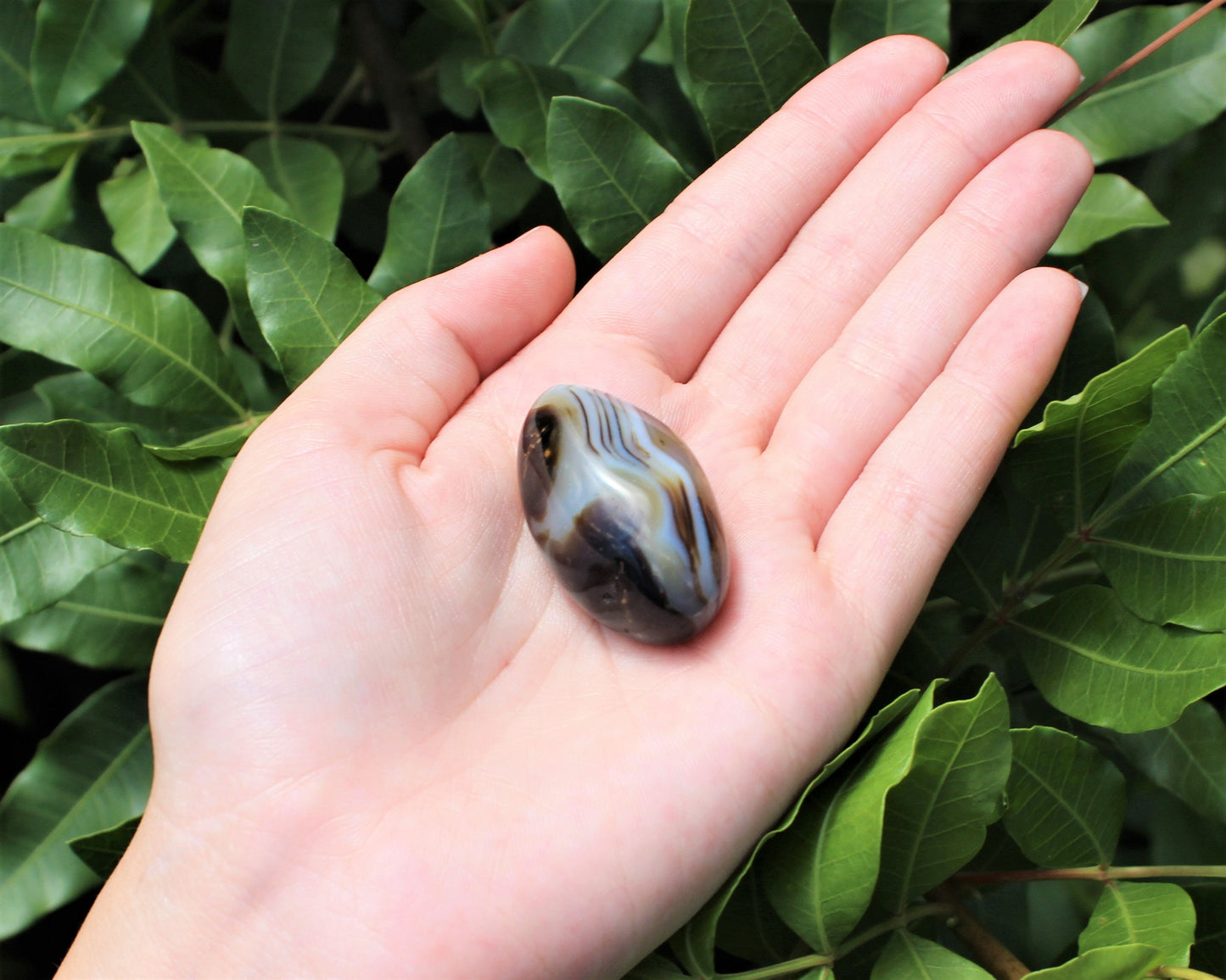 Polished Denritic Agate Stone