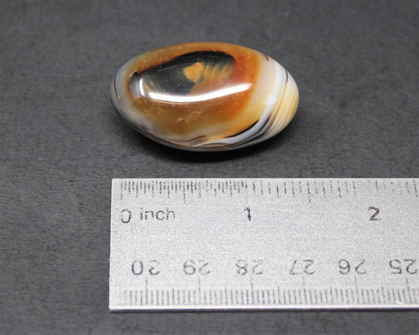 Polished Denritic Agate Stone