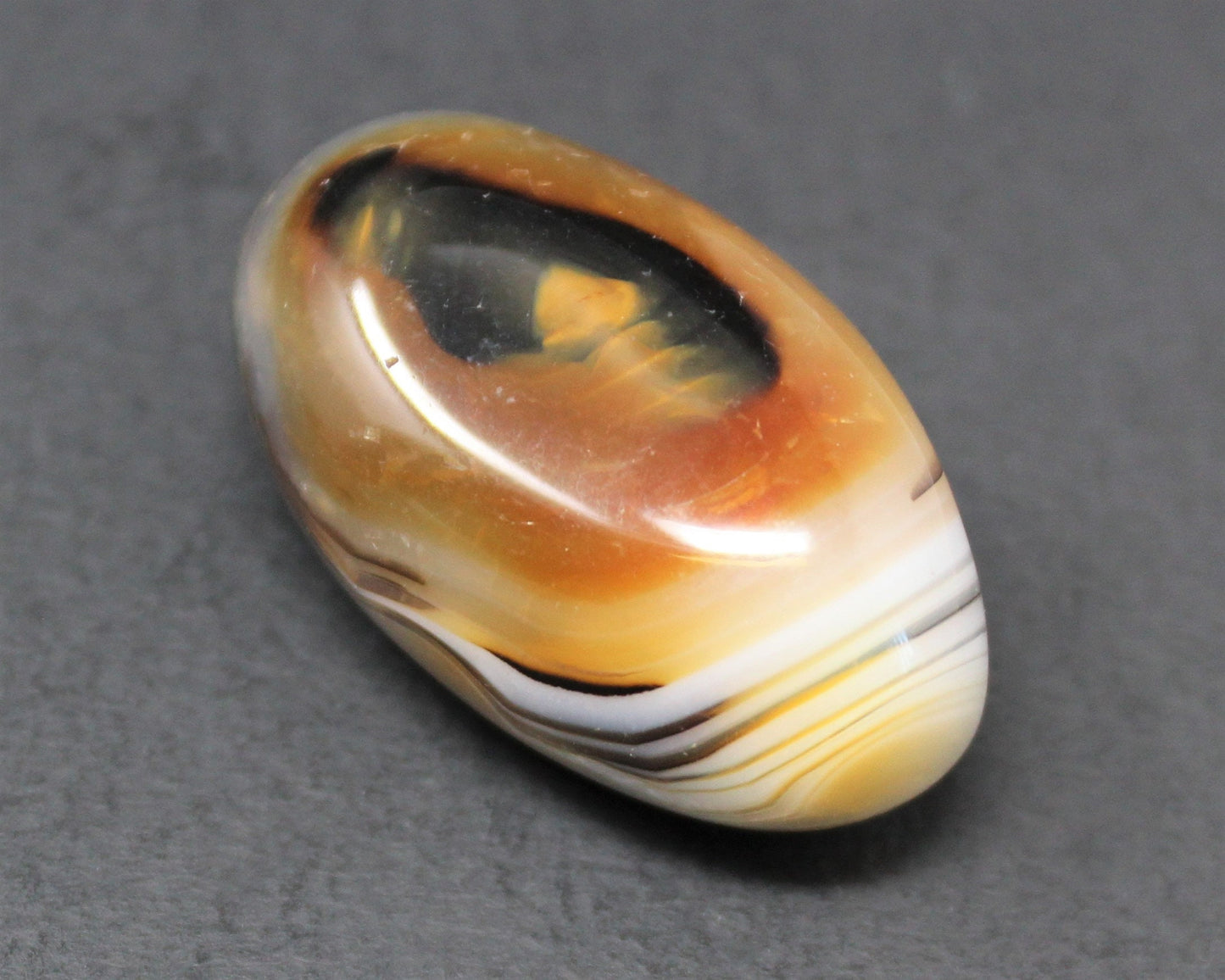 Polished Denritic Agate Stone