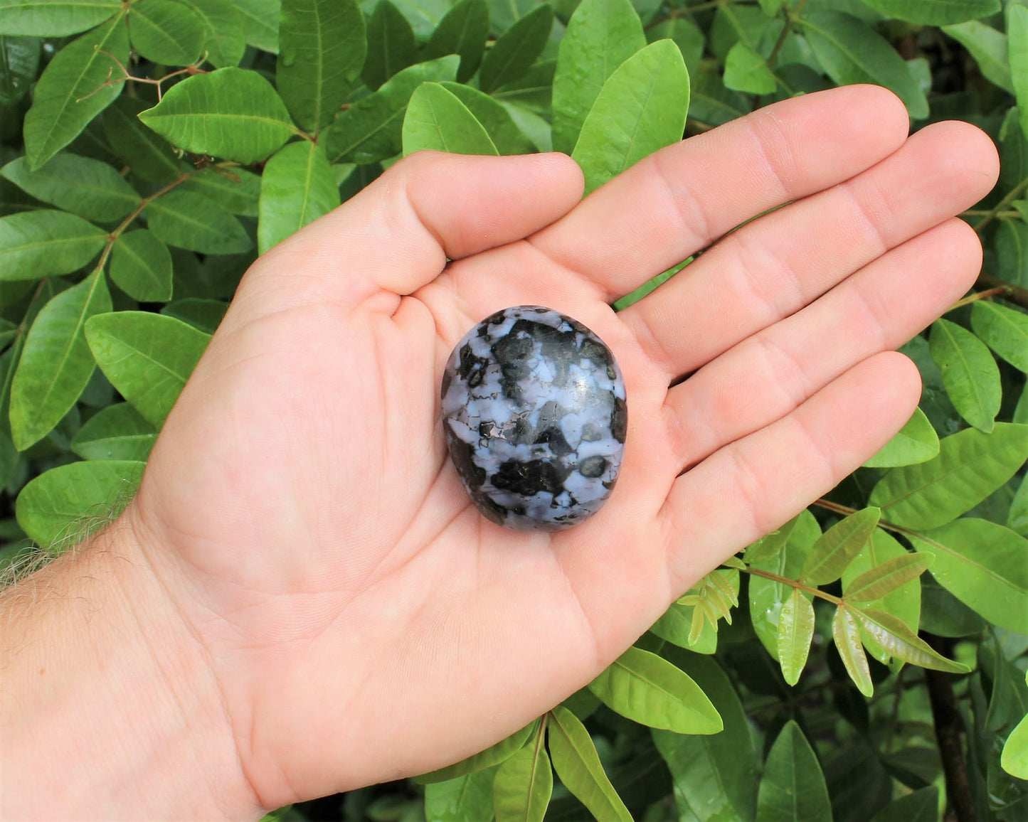 Polished Gabbro Crystal