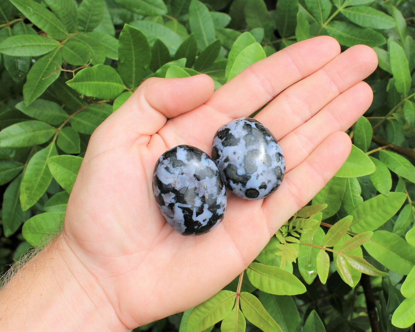 Polished Gabbro Crystal