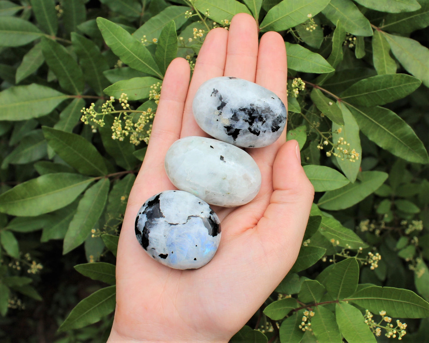 Polished Moonstone Stones