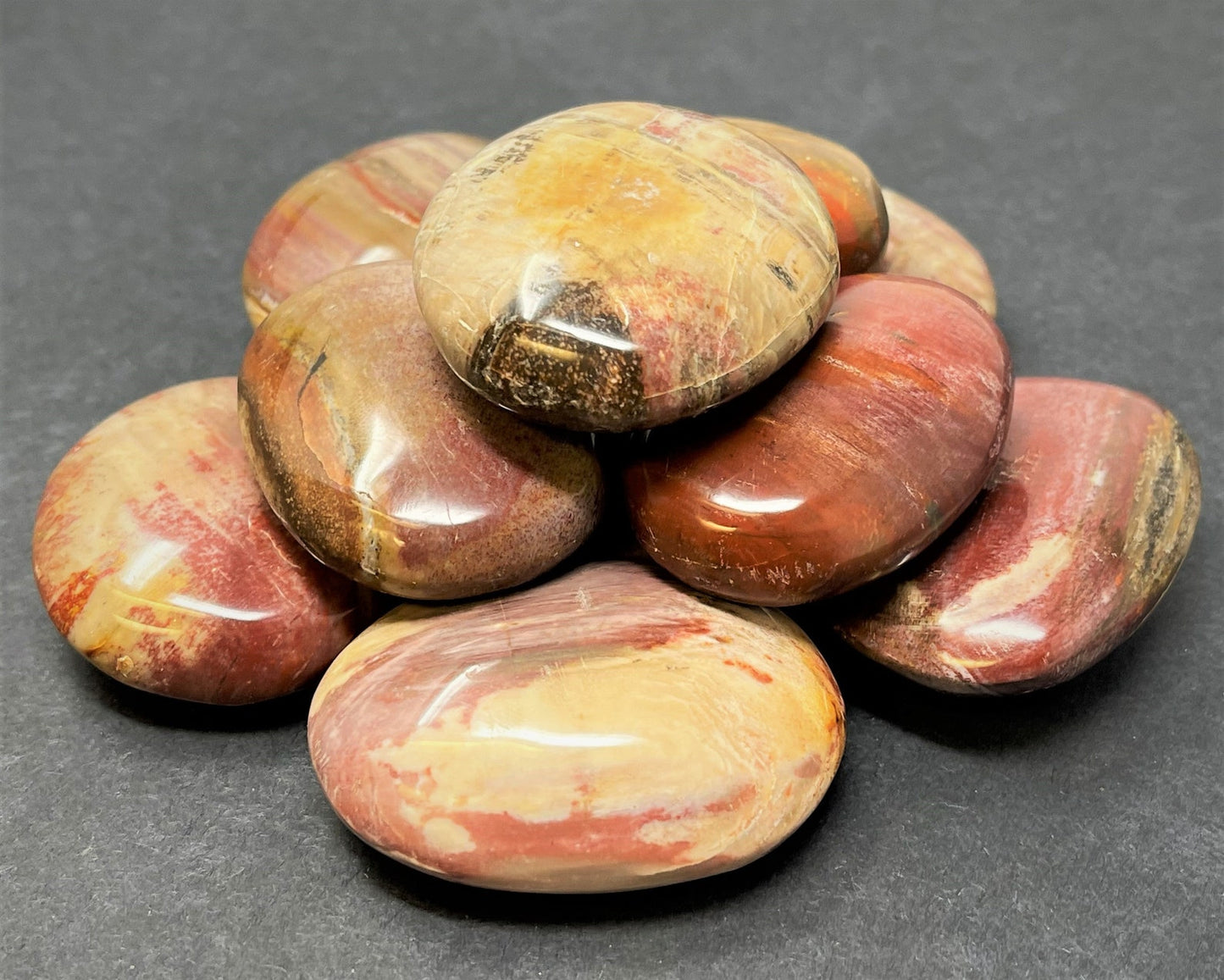 Polished Petrified Wood Stones