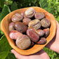 Polished Petrified Wood Stones