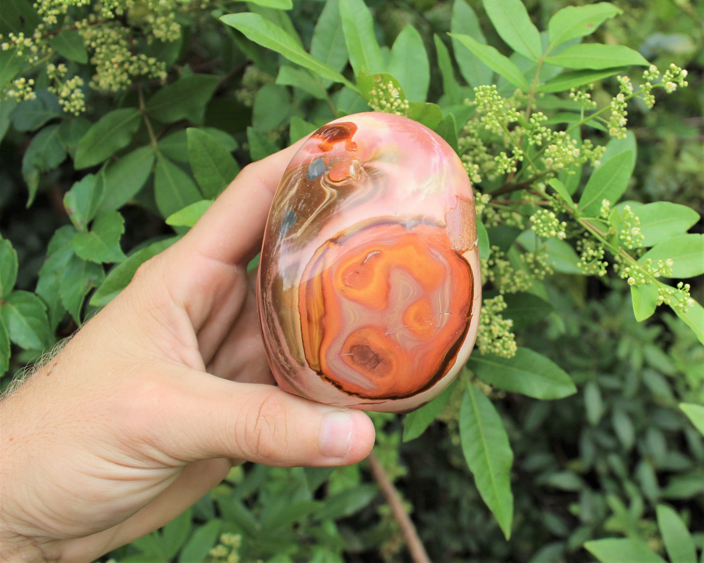 Polished Polychrome Desert Jasper Crystals