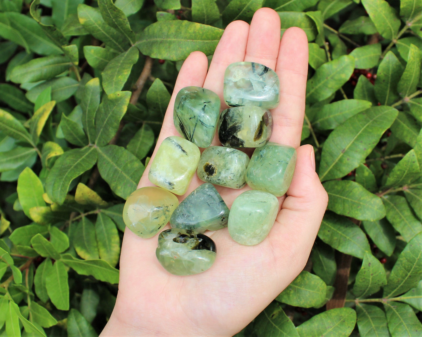 Prehnite With Epidote Tumbled Stones