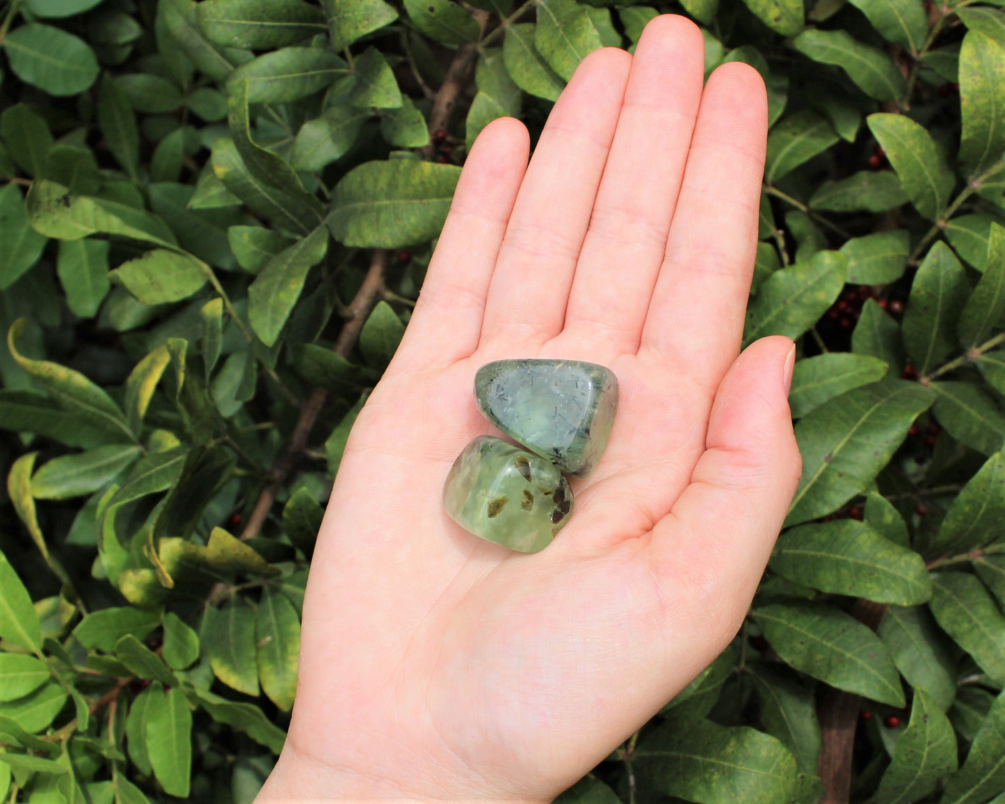 Prehnite With Epidote Tumbled Stones