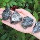 Elite Shungite