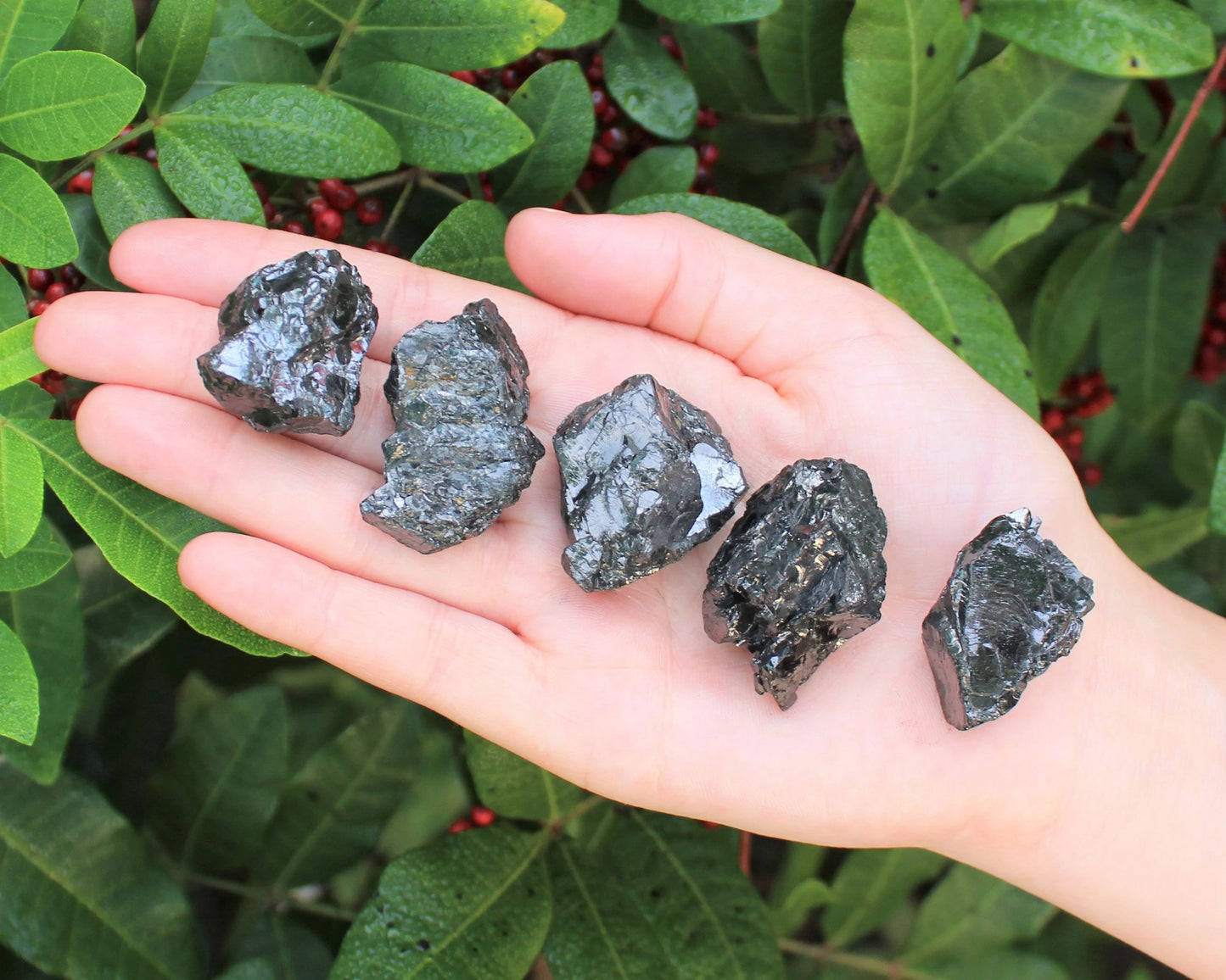 Elite Shungite