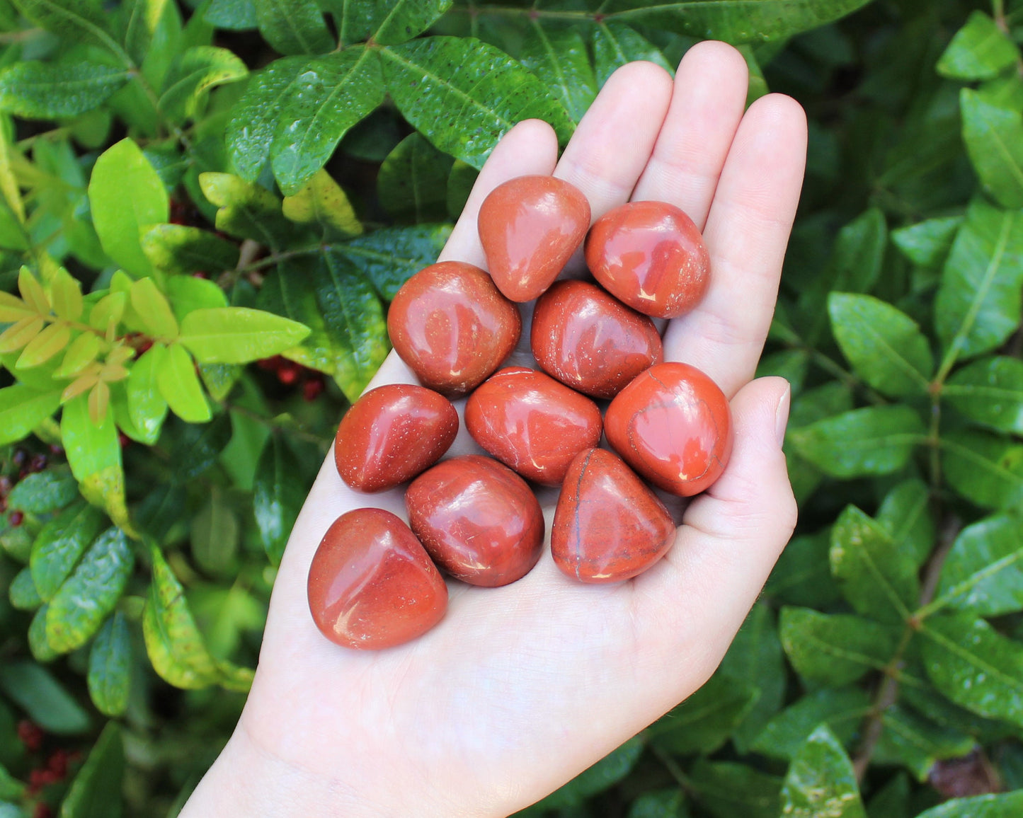 Premium Jasper Tumbled Stones