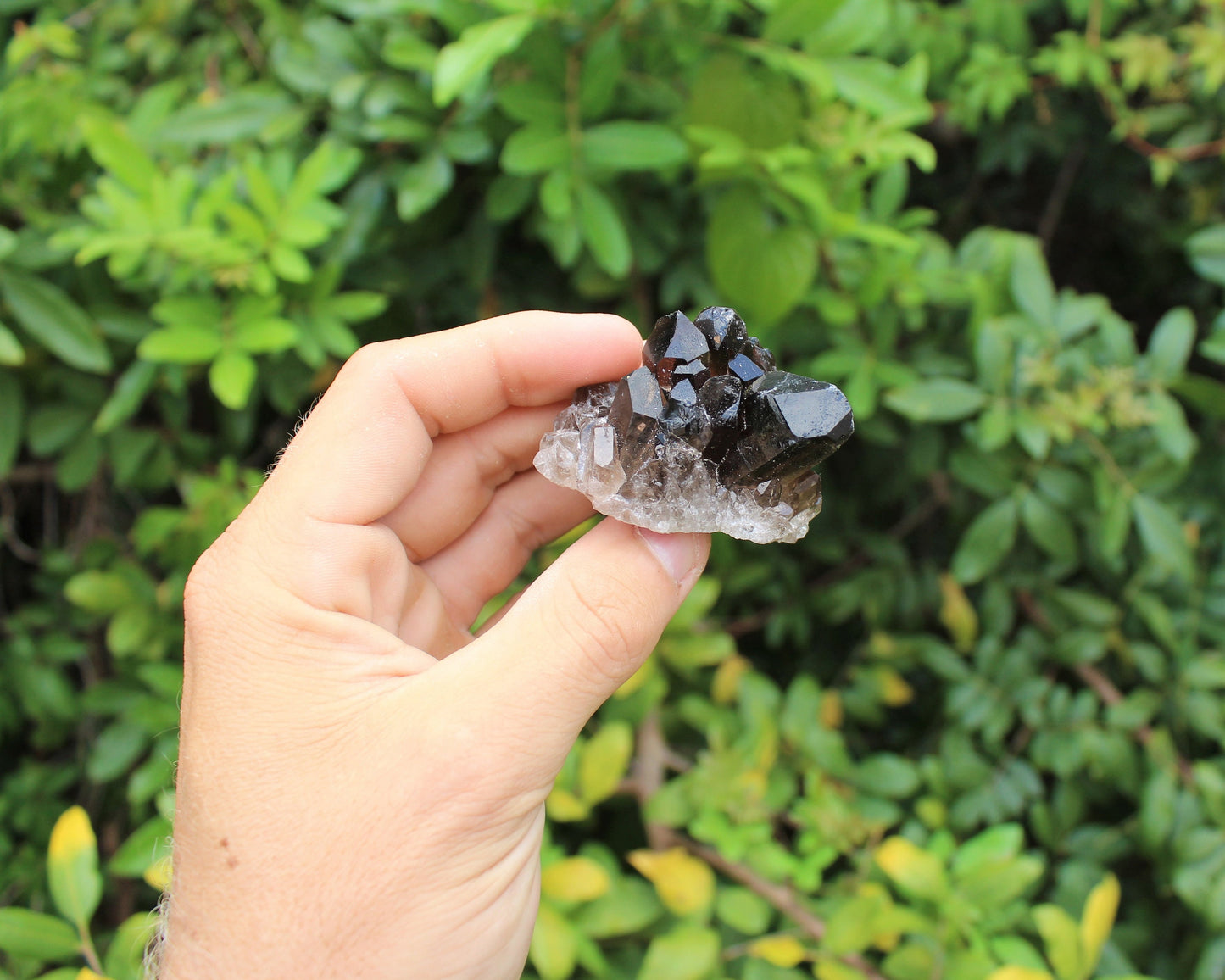 Quartz Crystal Cluster