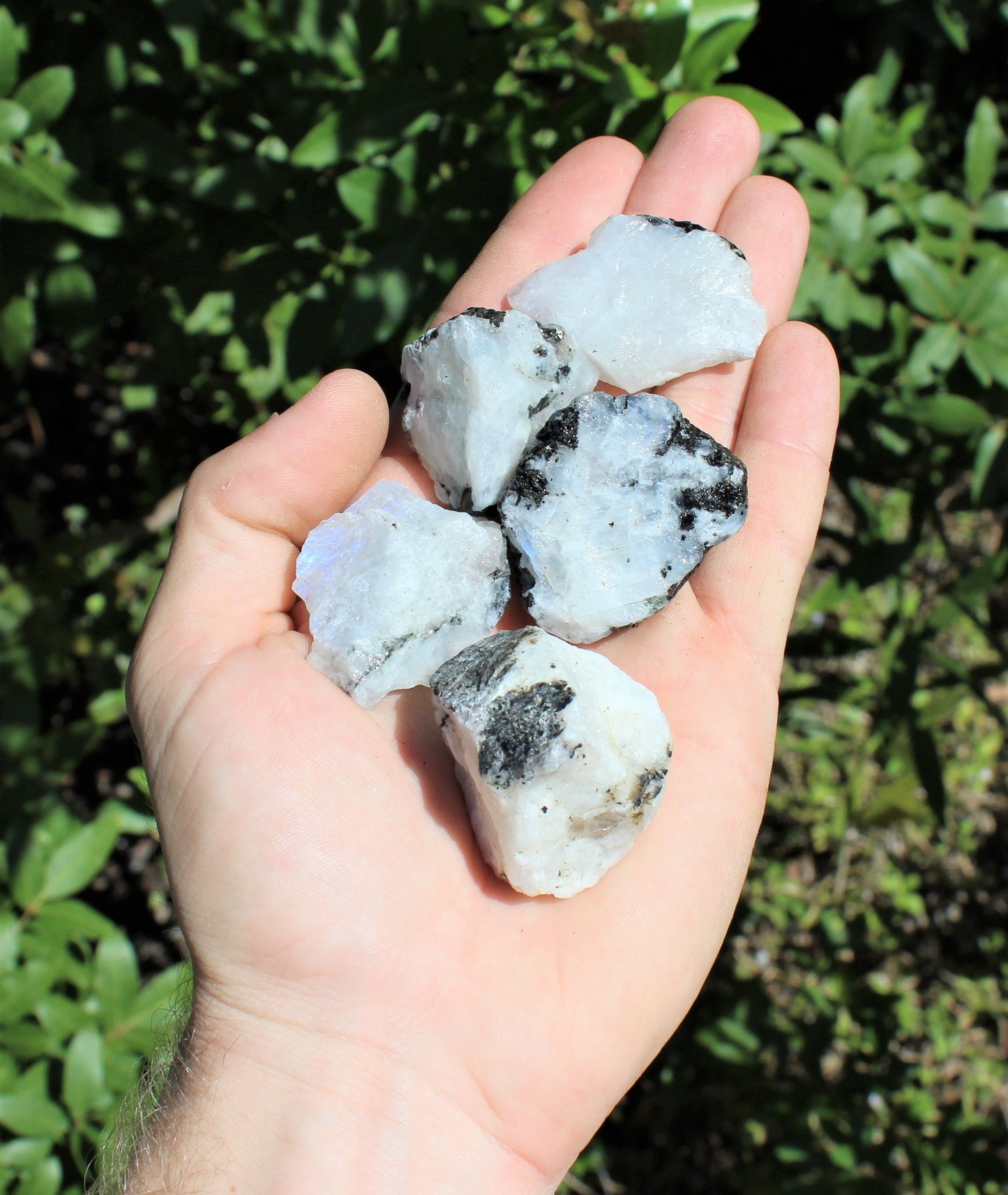 Rainbow Moonstone Natural Rough Gemstone Crystals