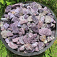 Raw Lepidolite Natural Stones