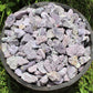 Raw Lepidolite Natural Stones