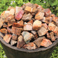 Raw Petrified Wood Natural Stones