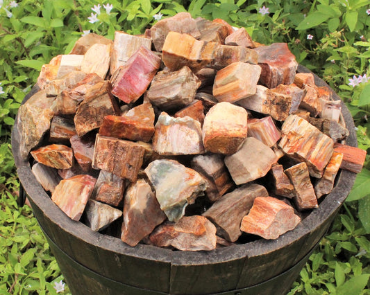 Raw Petrified Wood Natural Stones