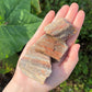 Raw Petrified Wood Natural Stones