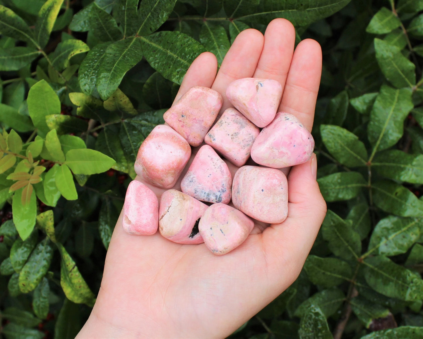 Rhodonite Tumbled Stone