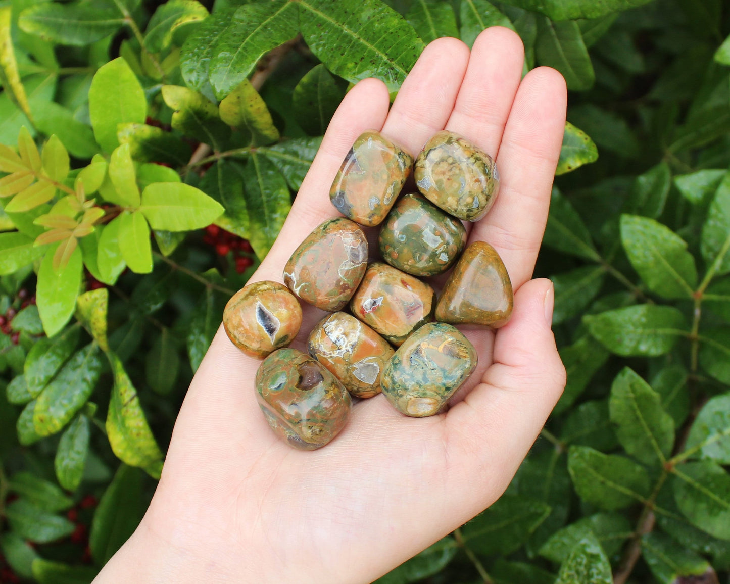 Rhyolite Tumbled Stones